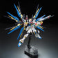 Mobile Suit Gundam SEED Destiny RG Strike Freedom Gundam 1/144 Scale Model Kit