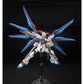 Mobile Suit Gundam SEED Destiny RG Strike Freedom Gundam 1/144 Scale Model Kit